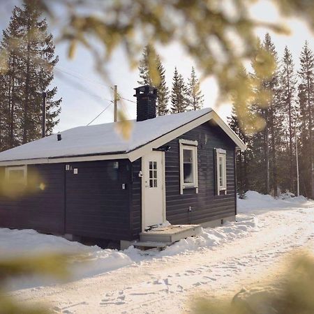 Koselig Hytte I Hemsedal Buitenkant foto