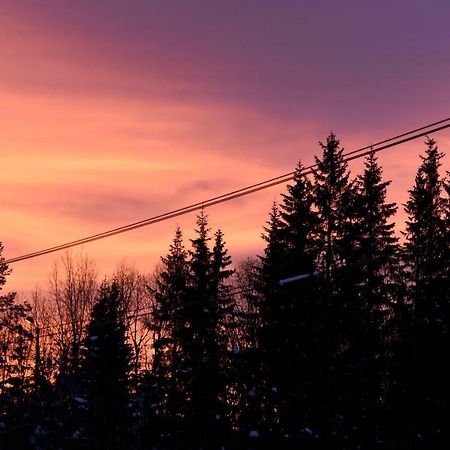 Koselig Hytte I Hemsedal Buitenkant foto