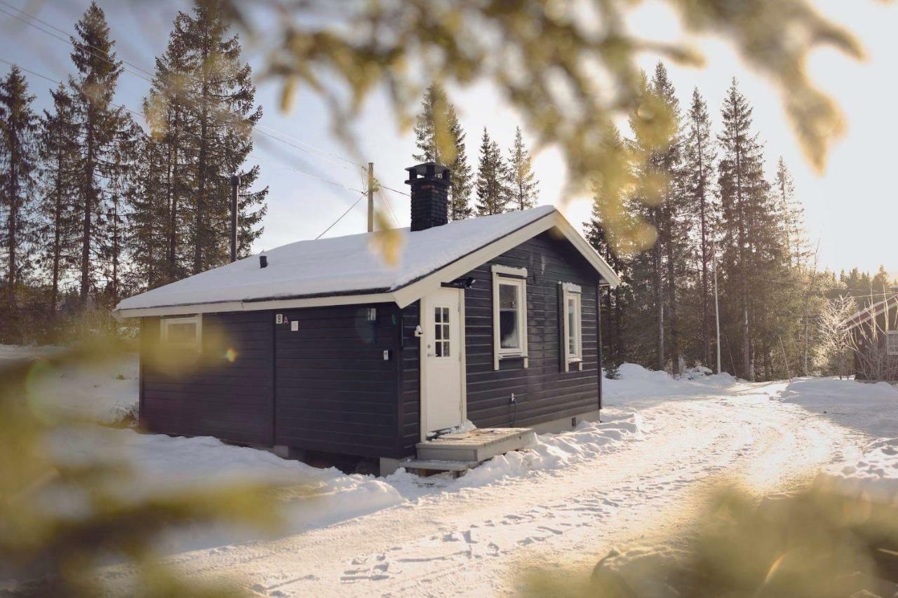 Koselig Hytte I Hemsedal Buitenkant foto
