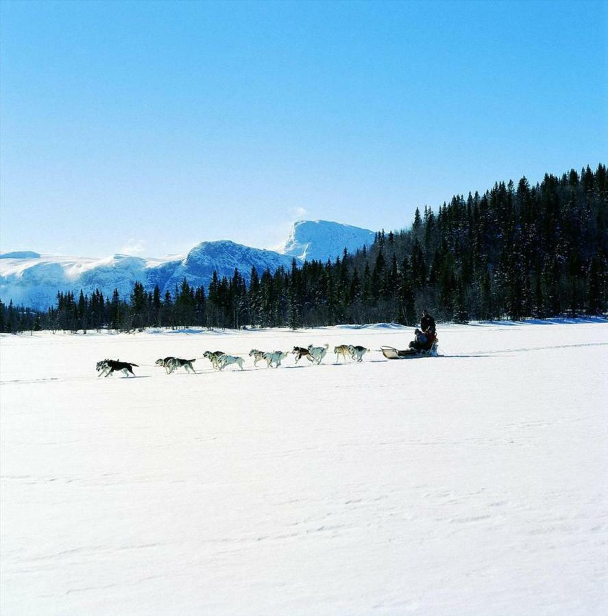 Koselig Hytte I Hemsedal Buitenkant foto