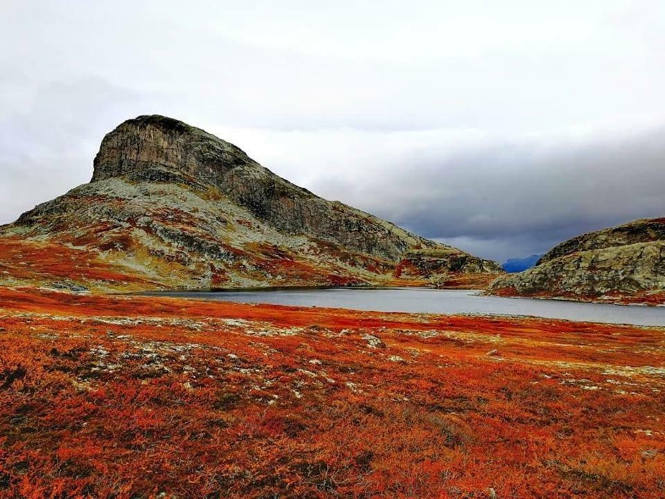 Koselig Hytte I Hemsedal Buitenkant foto