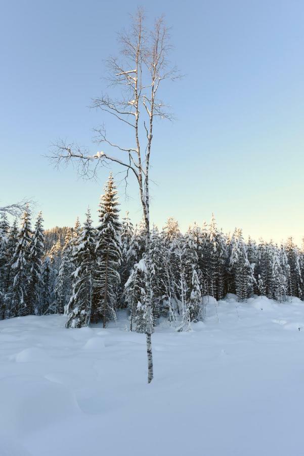 Koselig Hytte I Hemsedal Buitenkant foto